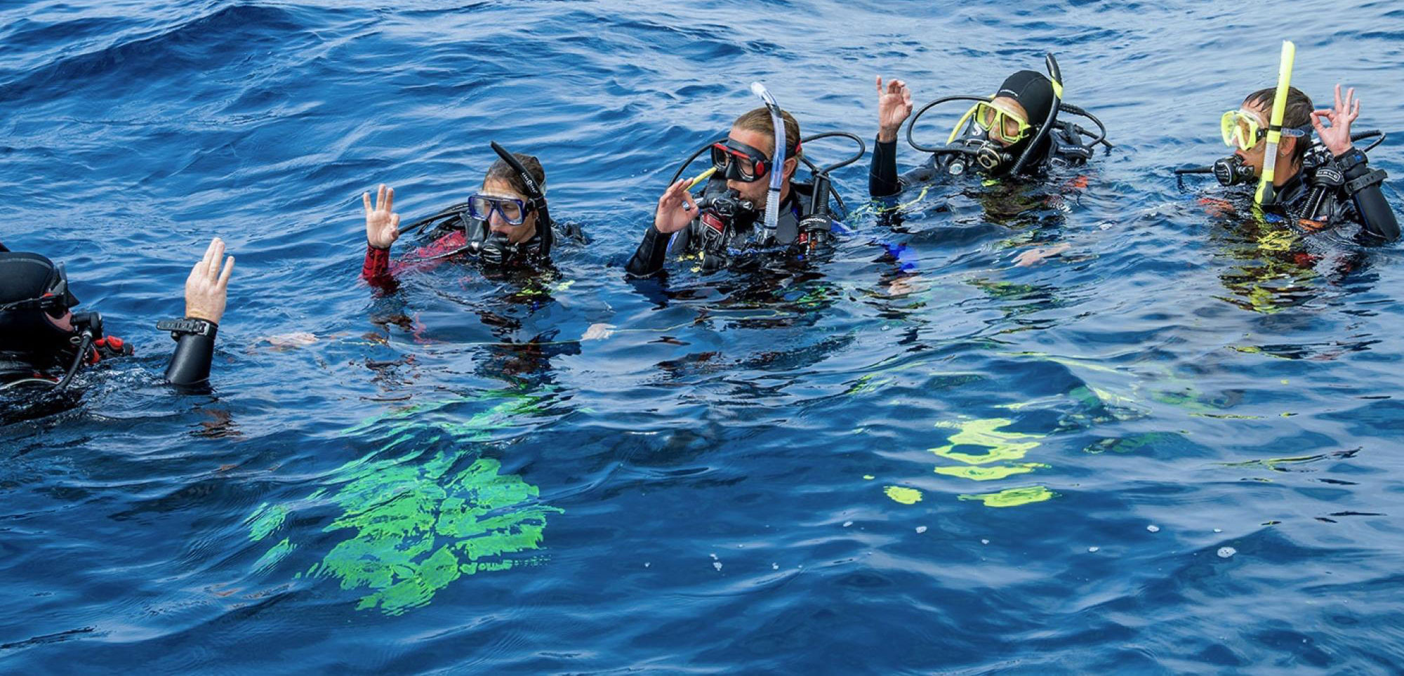 Scuba Lessons and Gear in Seattle | Underwater Sports · Twitter