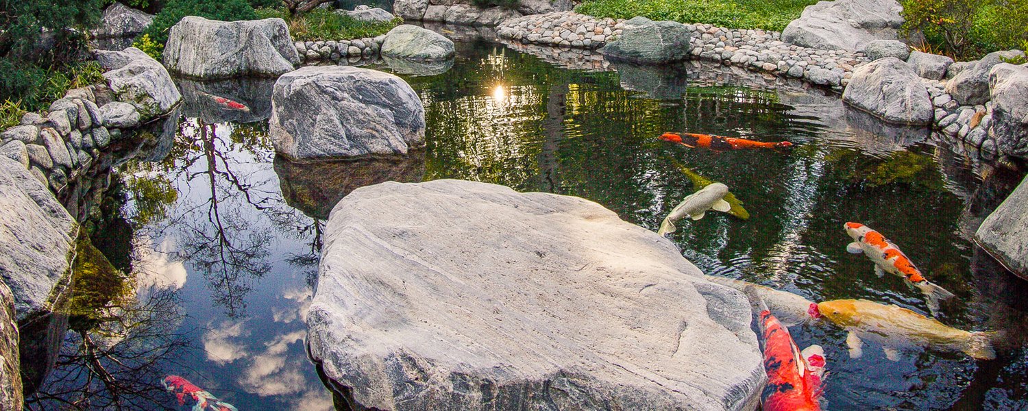 Japanese Friendship Garden · Twitter