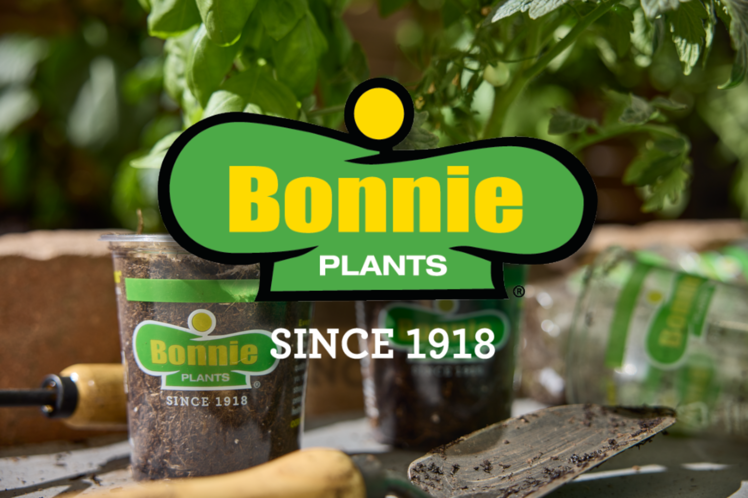Bonnie Plants - Garden Plants for Your Vegetable Garden or Herb Garden · Twitter