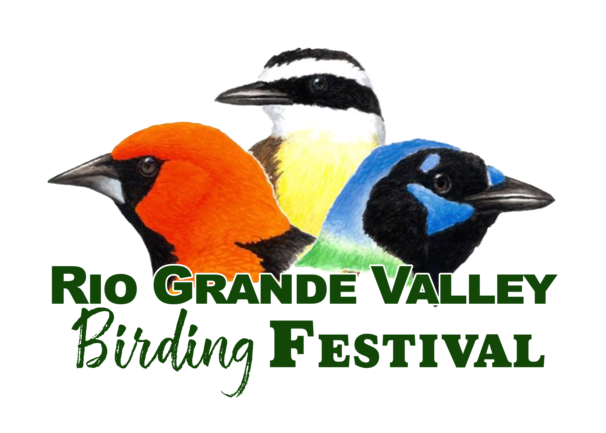 Rio Grande Valley Birding Festival · Twitter