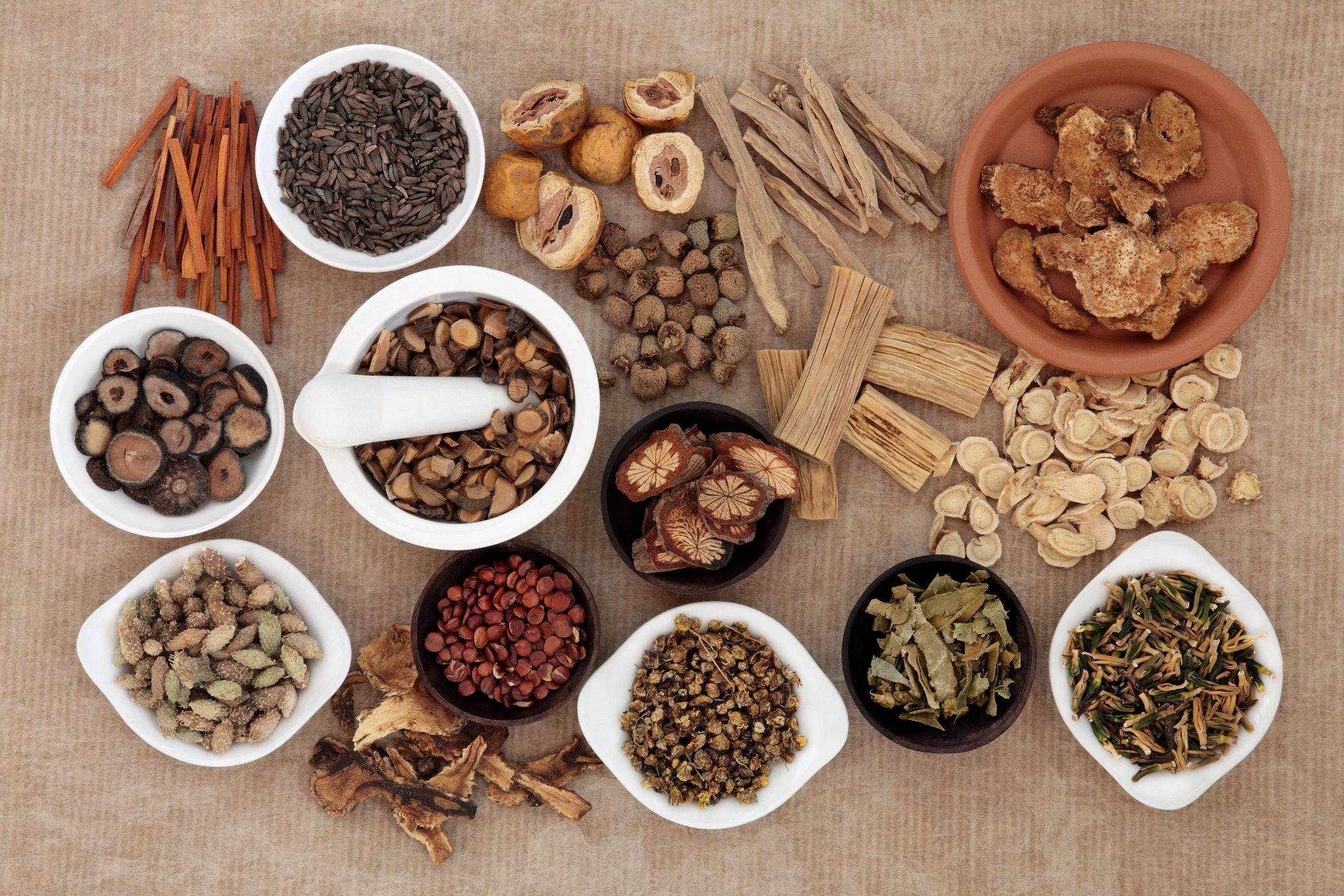 Dara Barr L.Ac. Fertility Acupuncture NYC