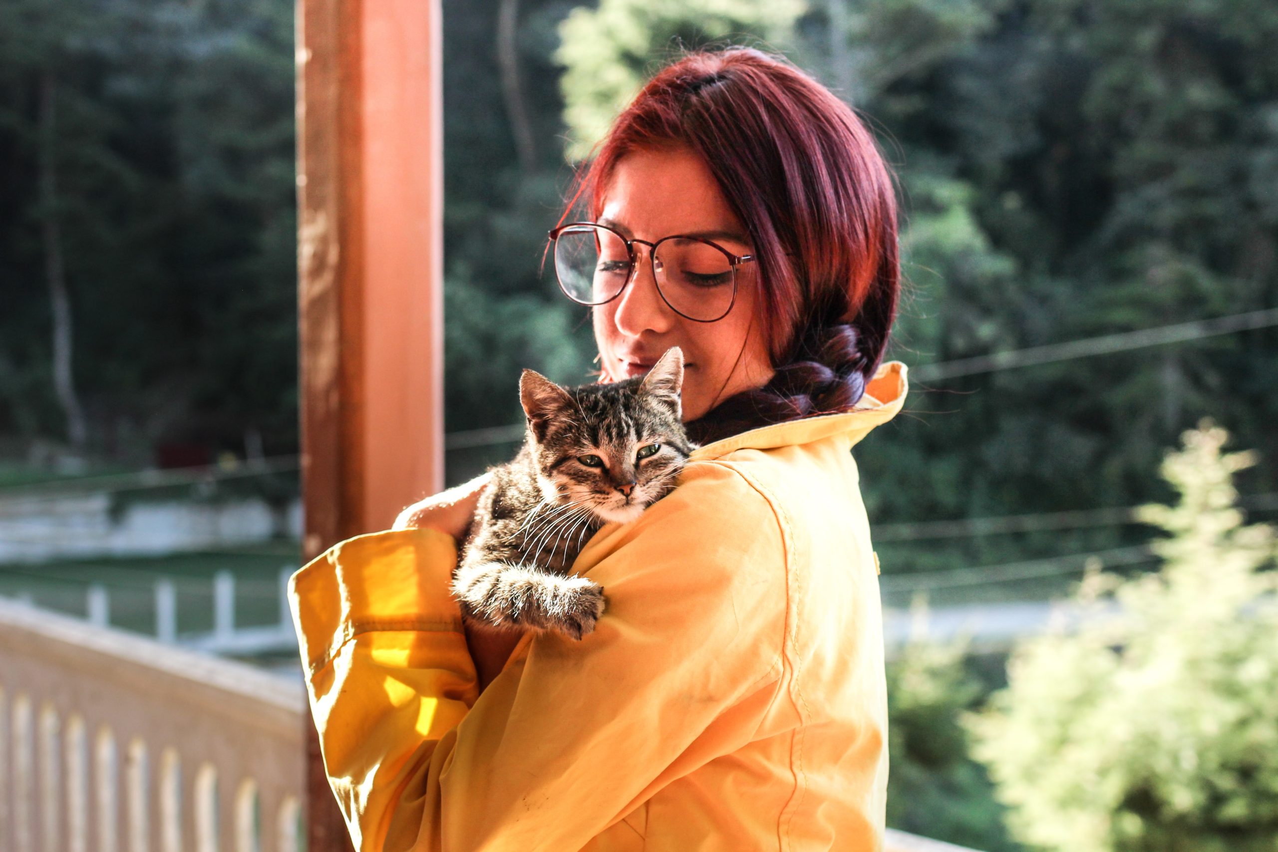 Home - RedRover · Twitter