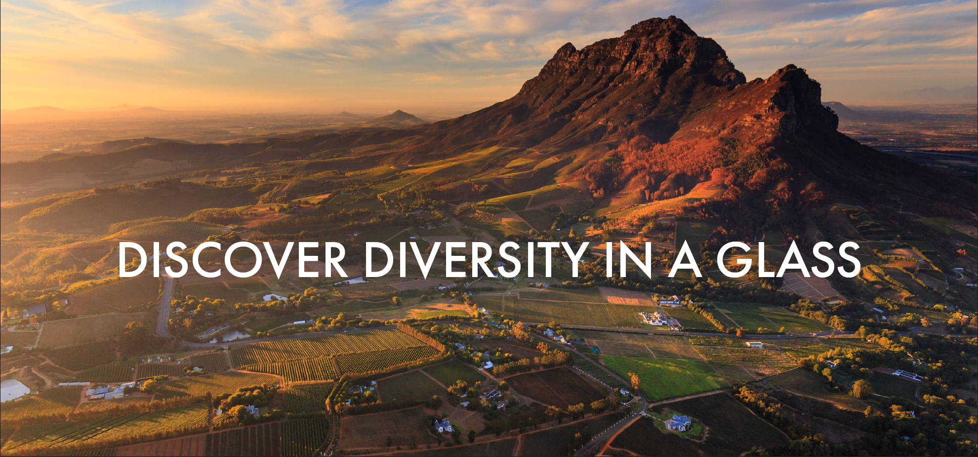 South Africa Wine · Twitter