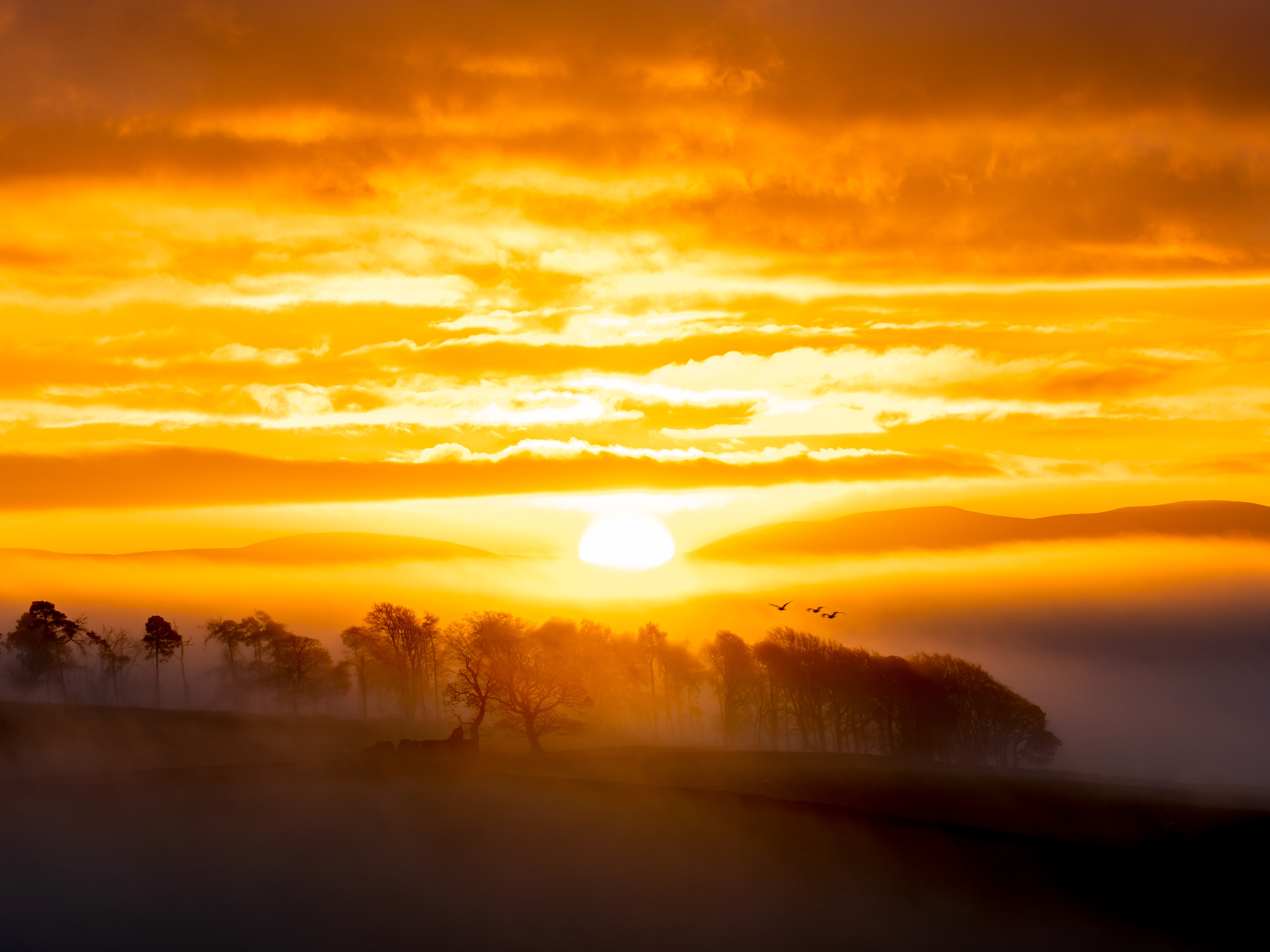 Ryan Smith Photography · Twitter