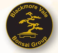Blackmore Vale Bonsai Group · Twitter