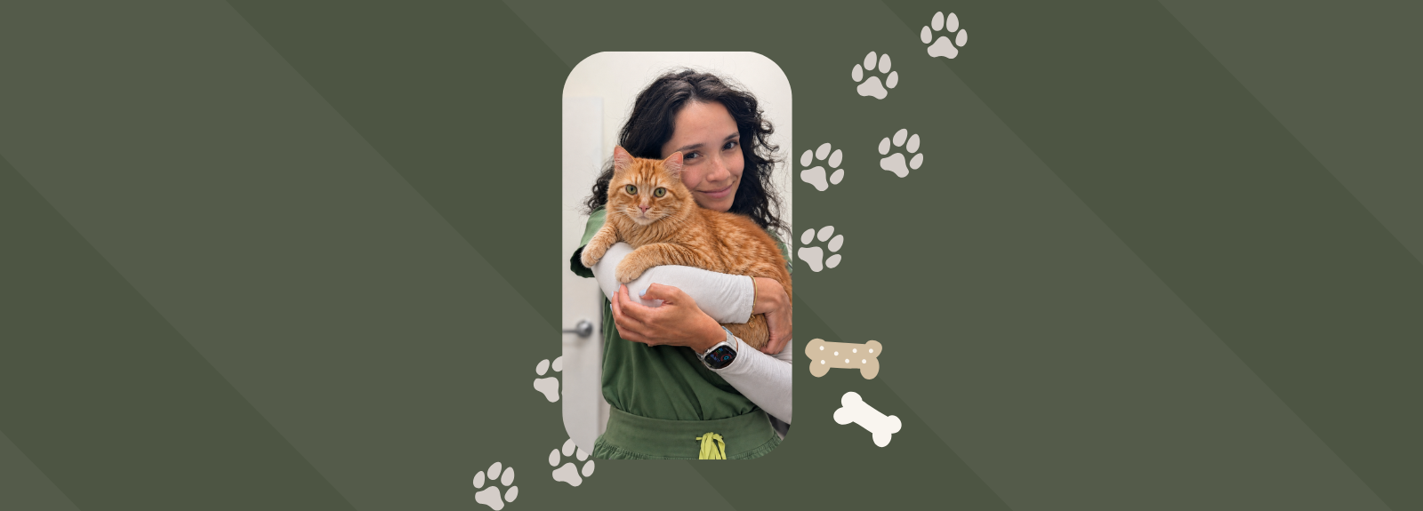 Las Vegas Animal Hospital | American Pet Hospital · Twitter
