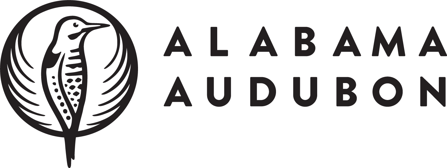 ALABAMA AUDUBON | Explore Birds Today – Join Us Now · Twitter