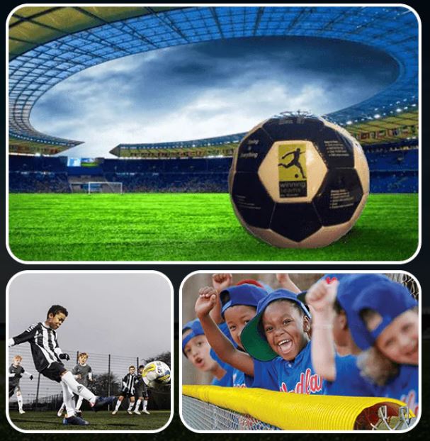 Sporting Goods Distributor | Winning Teams by Nissel · Twitter