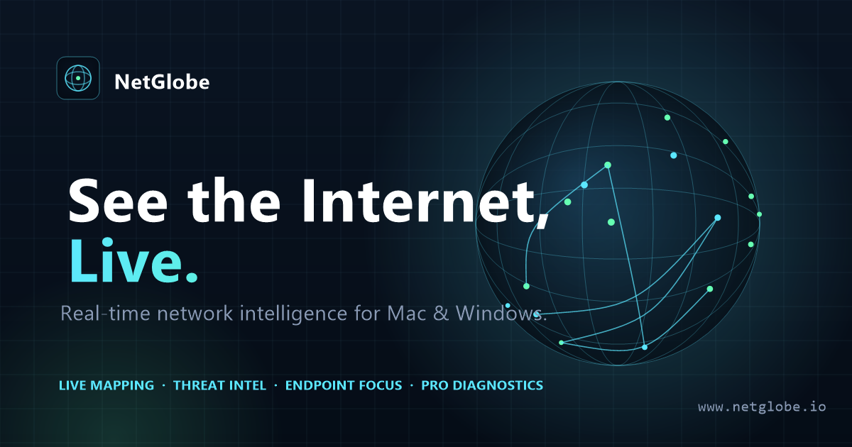 NetGlobe live network globe with endpoint focus panel.