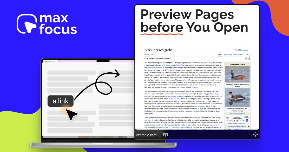MaxFocus: Link Preview extension