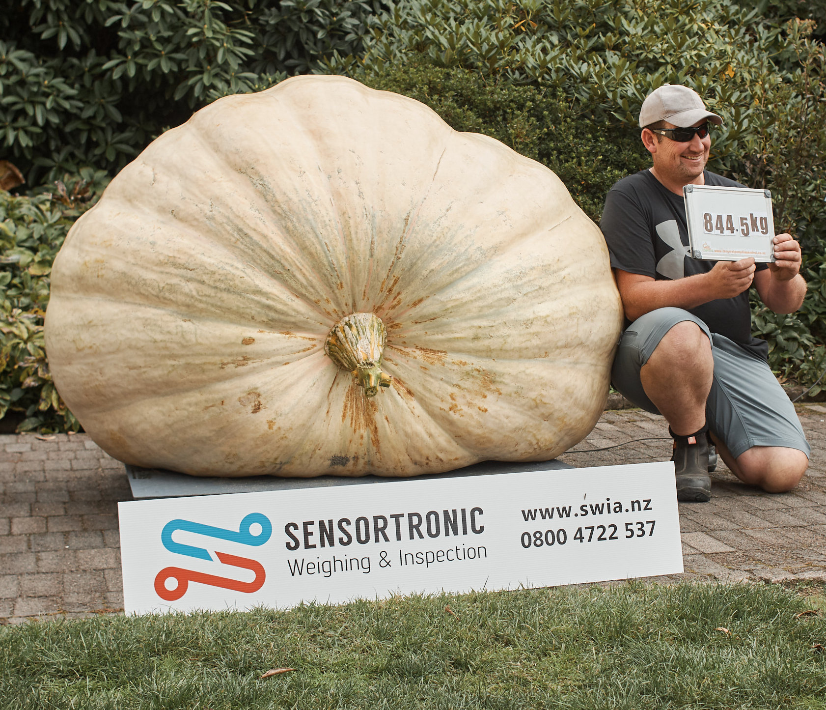 Giant Pumpkins NZ - The Website to Help you Grow a Giant Pumpkin · Twitter