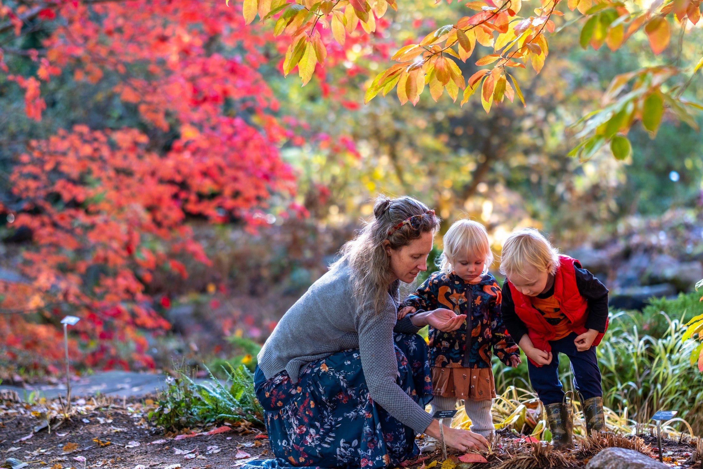 Annapolis Royal Historic Gardens · Twitter