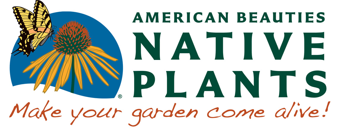 American Beauties Native Plants · Twitter