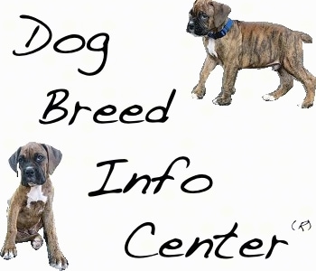 The Dog Breed Info Center®, DBIC · Twitter