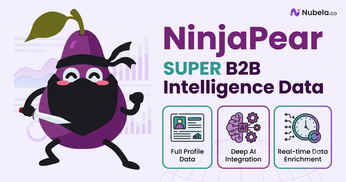 Real-time B2B Data Enrichment For AI Agents | NinjaPear