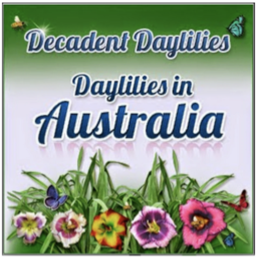 Quality Daylilies and Irises in Australia - Decadent Daylilies Nursery · Twitter