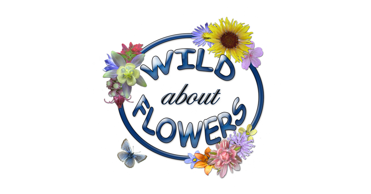 Wild About Flowers · Twitter