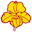 Amateur Orchid society | Wessex Orchid Society · Twitter