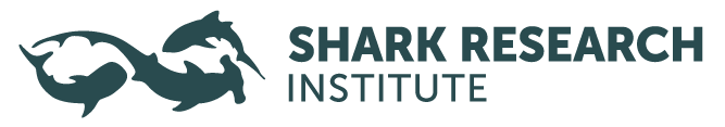 Shark Research Institute · Twitter