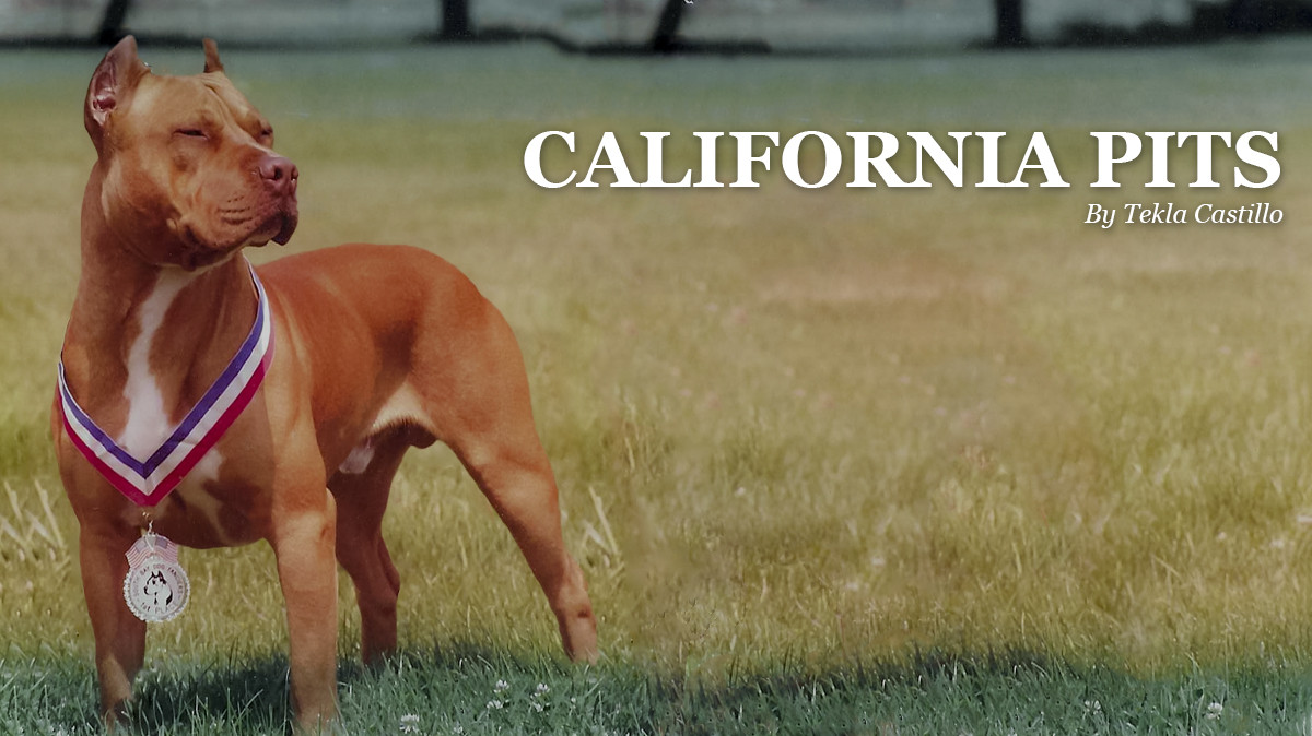 Tekla Castillo's California Pits · Twitter