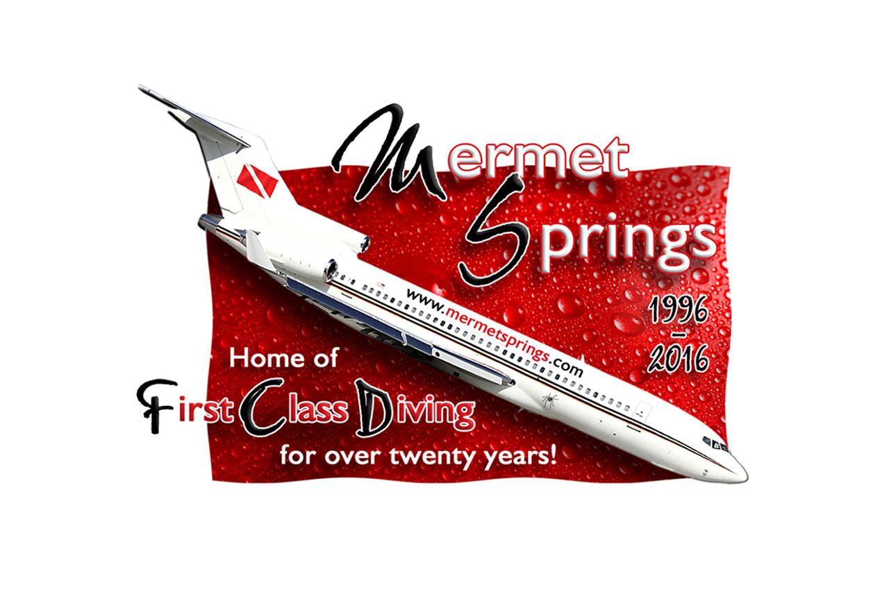 Mermet Springs - Scuba Dive | learn to scuba dive | 6724 U.S. Hwy 45, Belknap, IL, USA · Twitter