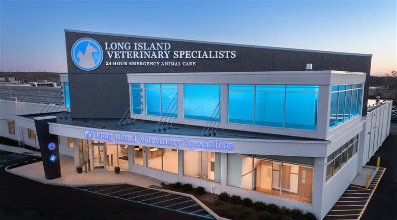 24 Hour Emergency Vet | Long Island Veterinary Specialists (LIVS) · Twitter