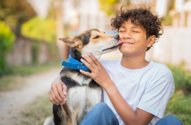Veterinarian in St. Catharines, Ontario | Martindale Animal Clinic · Twitter