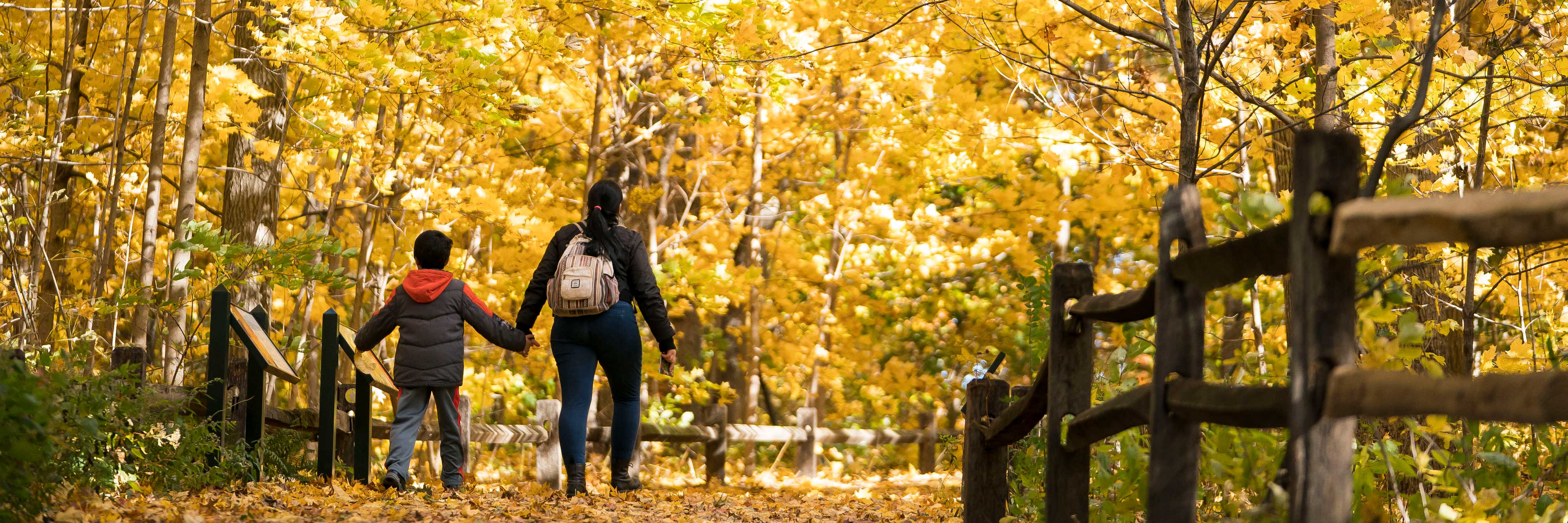 New York Botanical Garden · Twitter