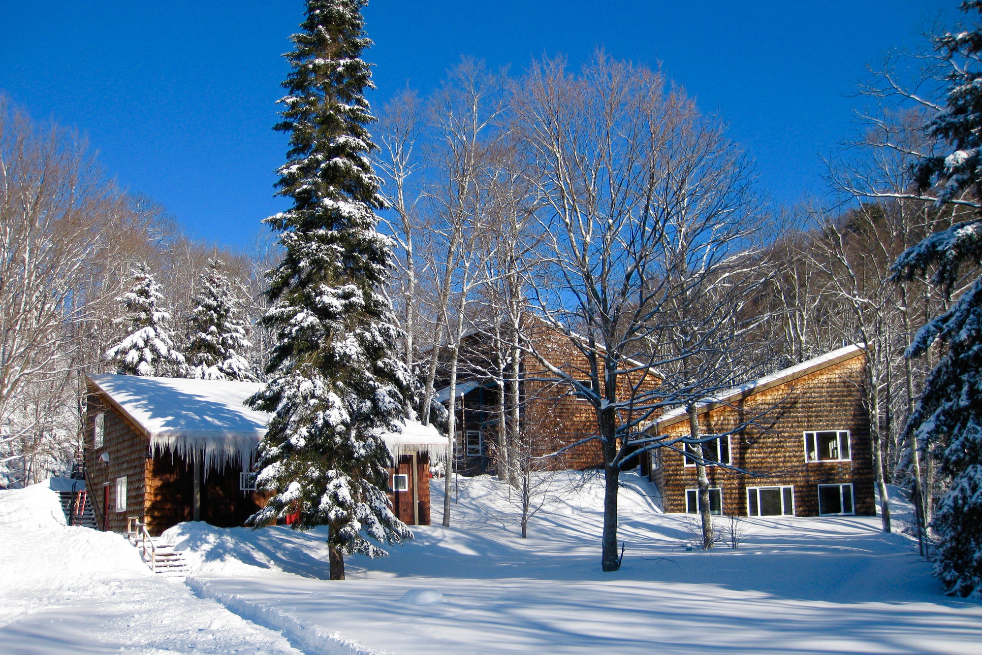 Home | StokelyCreek · Twitter