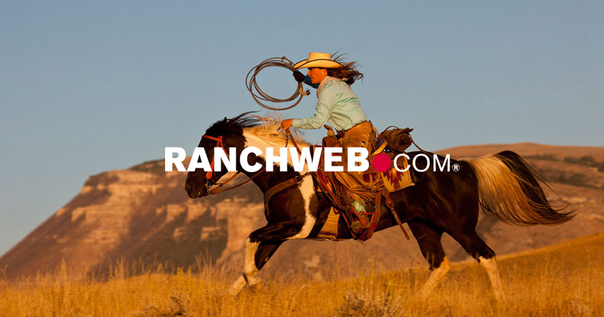 Dude Ranch Getaways | All Inclusive Worldwide | RanchWeb | Ranchweb.com · Twitter