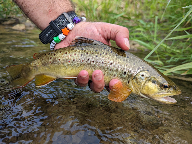 Troutrageous! Fly Fishing & Other Nonsense · Twitter