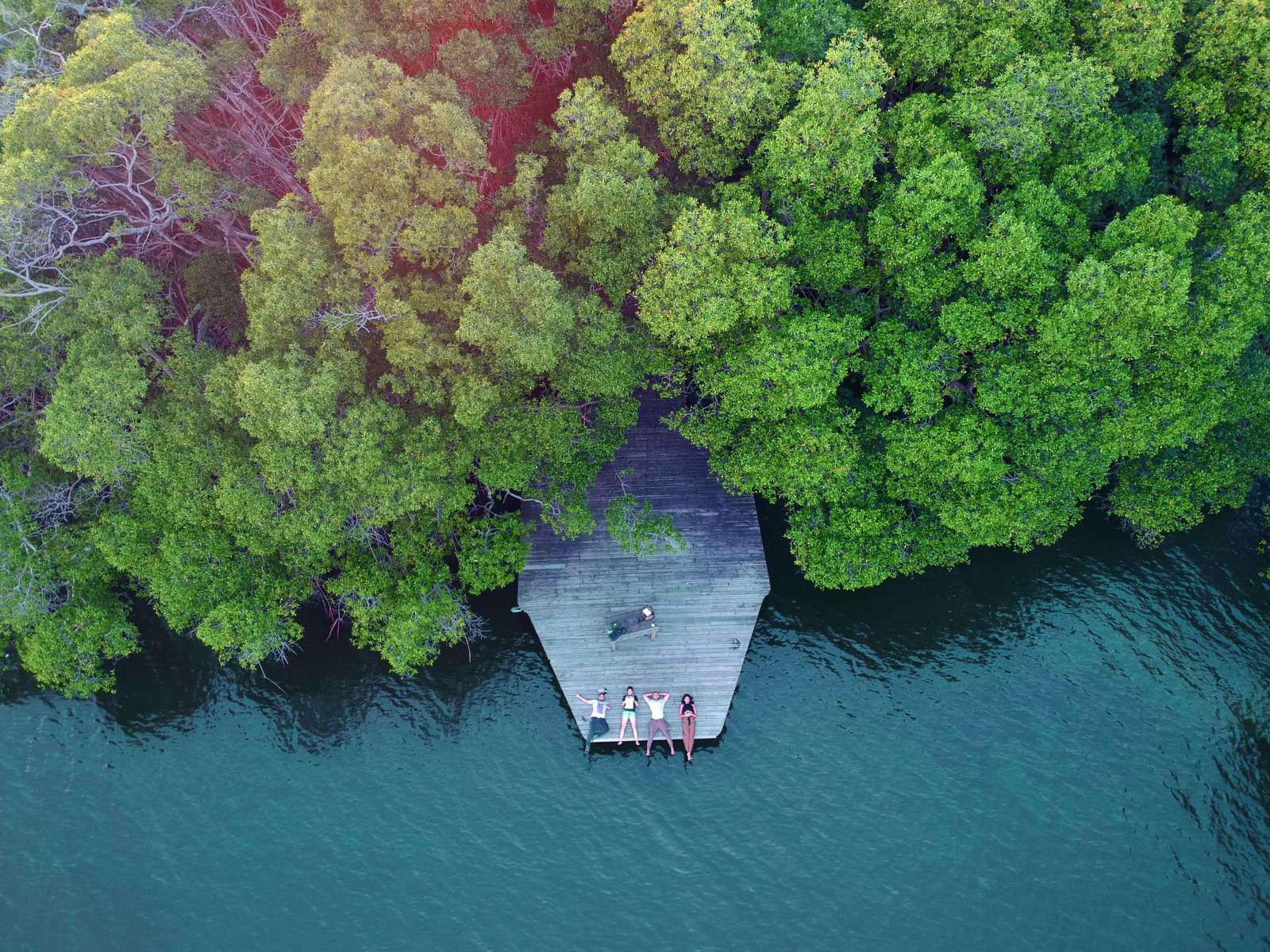 tobago plantations boardwalk lagoon