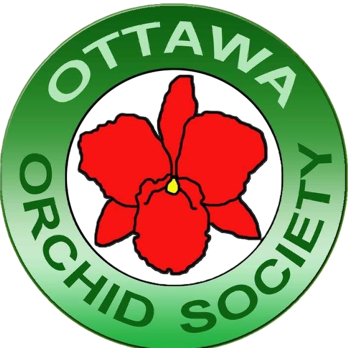 Ottawa Orchid Society – Orchid Lovers Welcome · Twitter