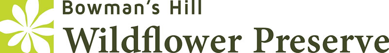 Bowman's Hill Wildflower Preserve · Twitter