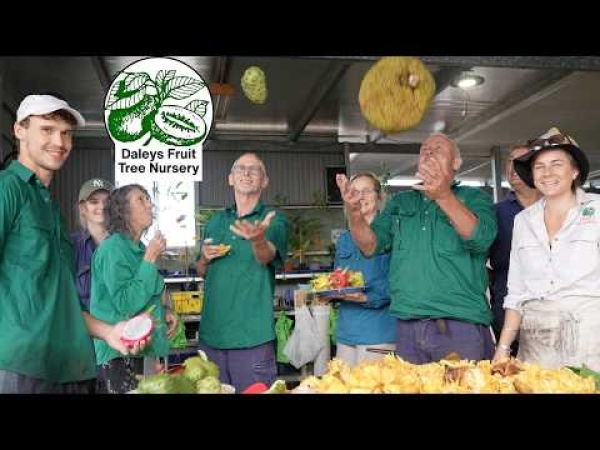 Fruit Trees, Plants Australia - Daleys Fruit Tree Nursery · Twitter