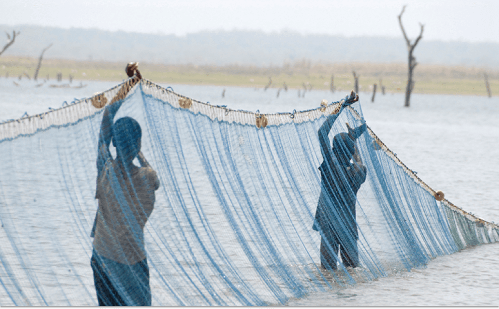 boys with fishing nets