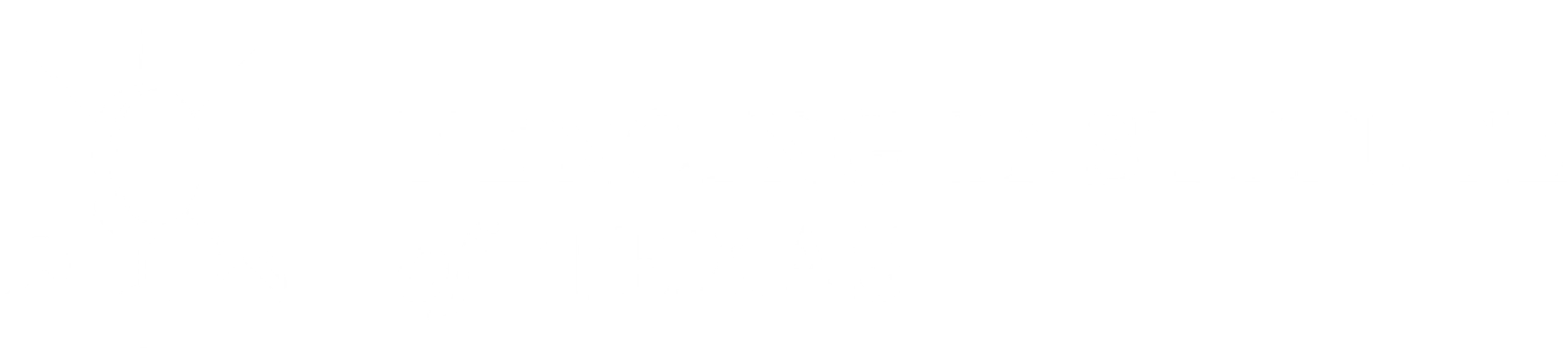 Fencing Institute of Texas
