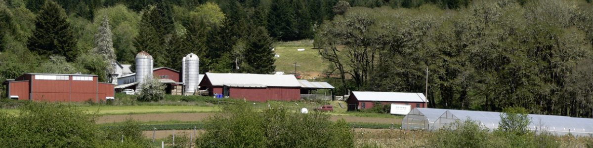 Welcome to Winter Green Farm! - Winter Green Farm · Twitter