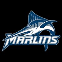 Virginia Wesleyan University Logo