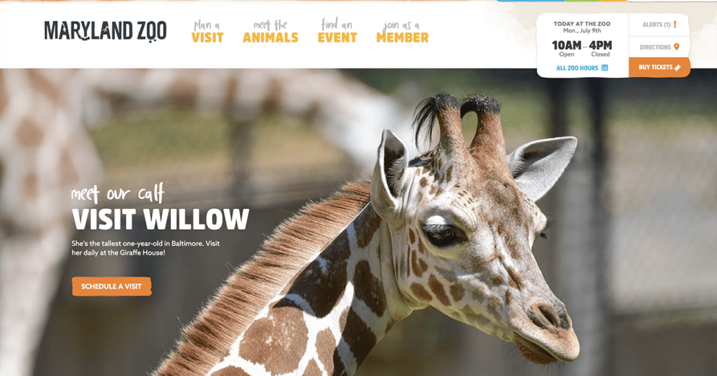 The Maryland Zoo in Baltimore · Twitter