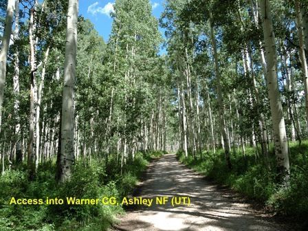 US National Forests and Campgrounds Directory · Twitter