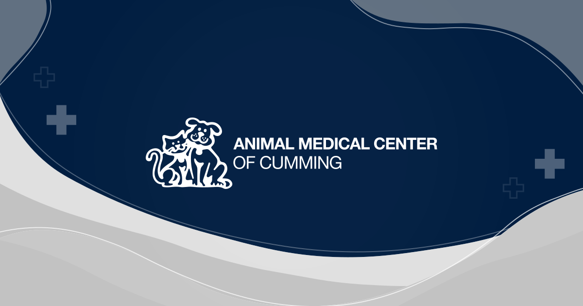 Animal Medical Center of Cumming | Veterinarian in Cumming, GA · Twitter