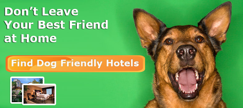 Find Dog Friendly Travel, Hotels, Dog Parks, Dog Sitters and more with DogGeek.com · Twitter