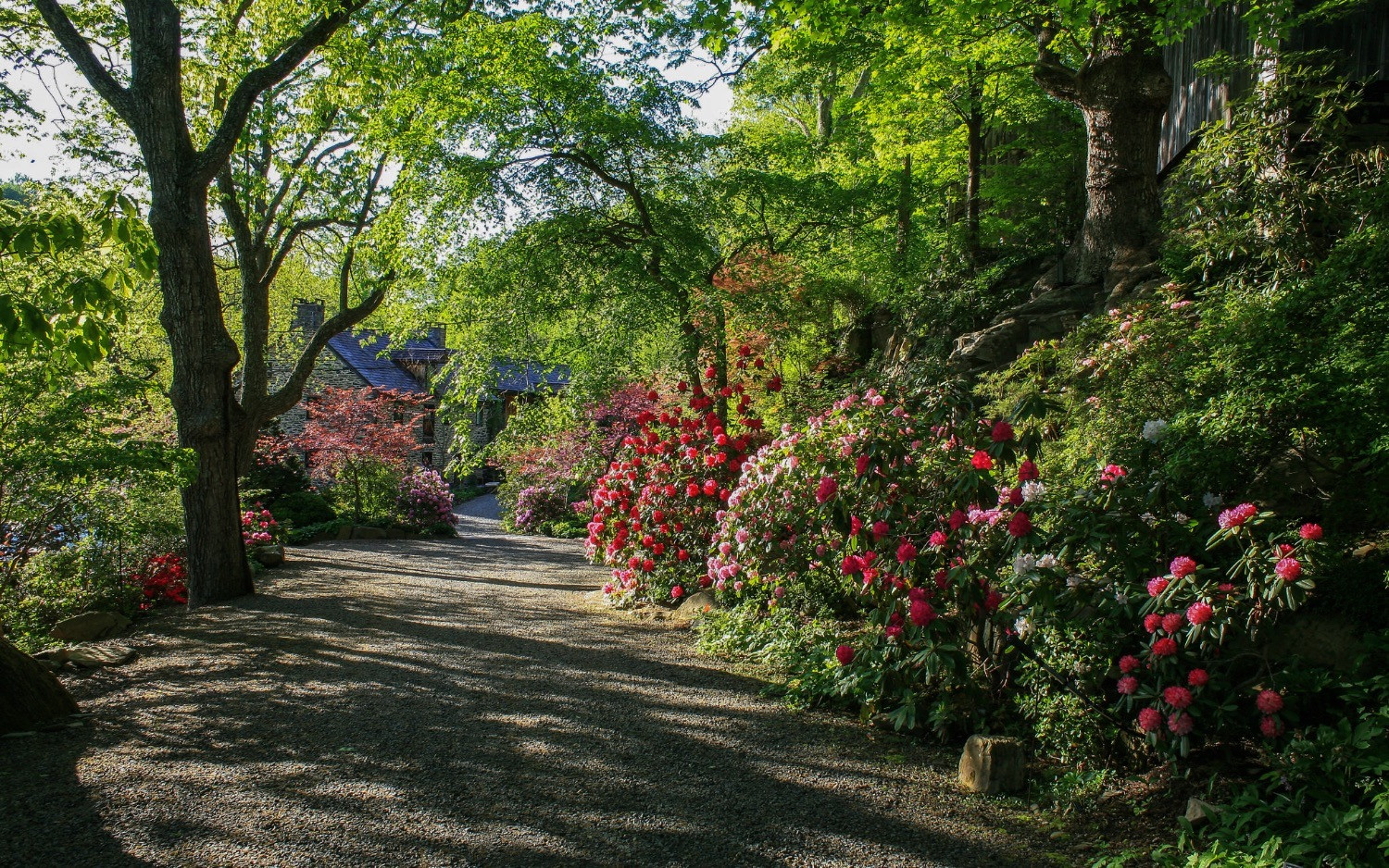Home | garden · Twitter