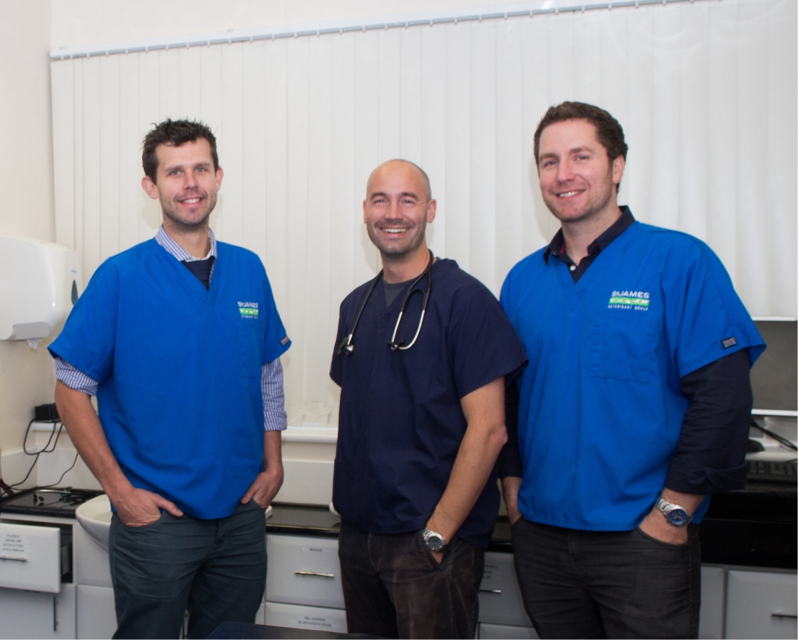 Vets In Swansea & Neath | St James Veterinary Group · Twitter