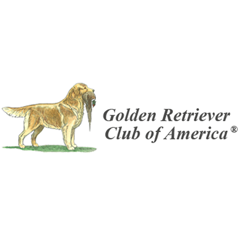 Golden Retriever Club of America · Twitter
