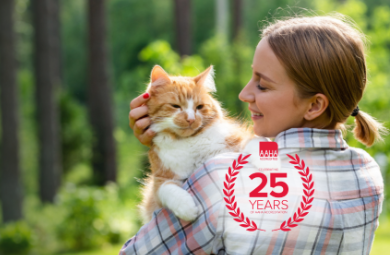 Homepage | Brookfield Veterinary Hospital · Twitter