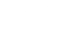 YOGA LOKA · Twitter
