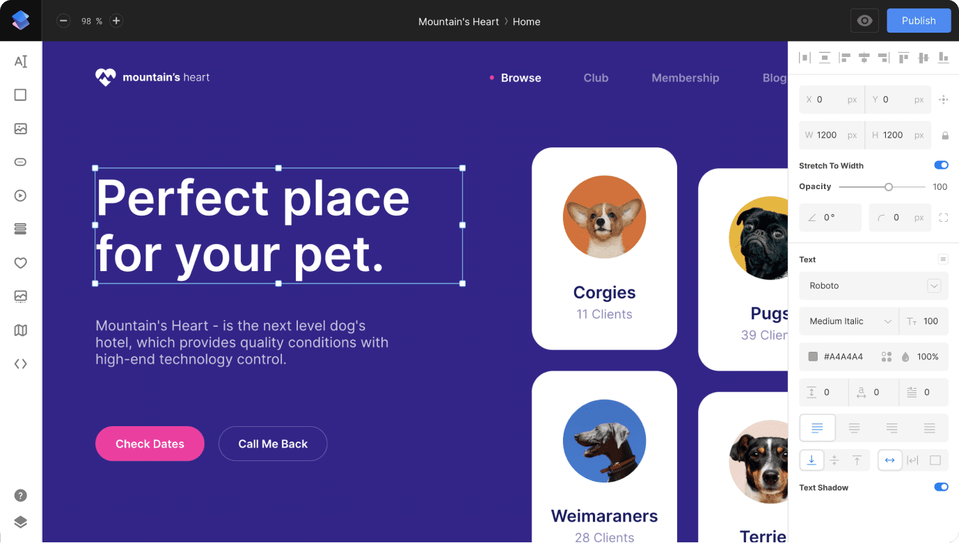 No-Code Website Builder, Web Design Tool - Siter.io · Twitter