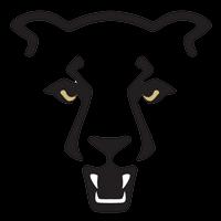 UCCS Athletics Logo